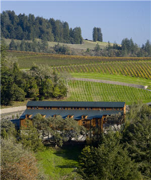 Freestone Vineyards by Joseph Phelps